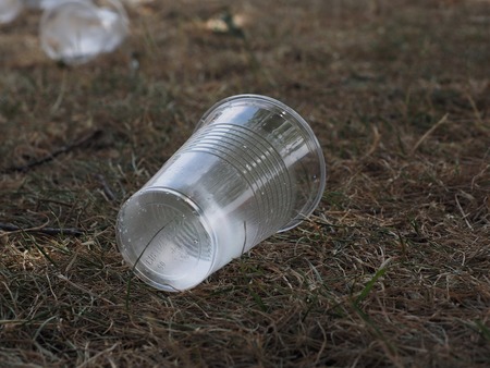 Freo ao uso de vasos e pratos de plásticos